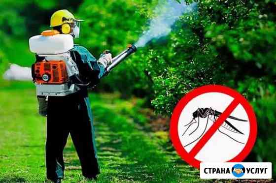 Обработкой от комаров, клещей Казань