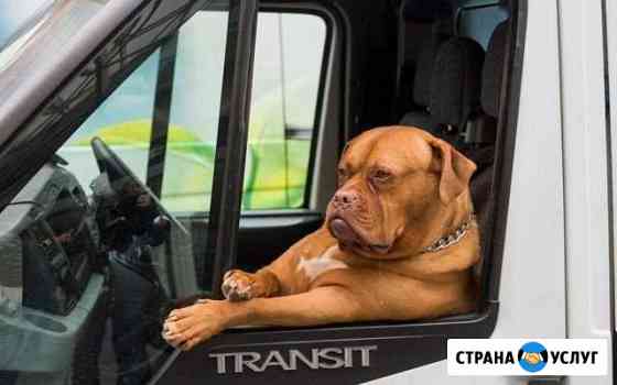 Заброска туристов, трансфер, перевозка до 8 чел Пермь