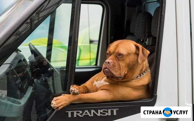 Заброска туристов, трансфер, перевозка до 8 чел Пермь - изображение 1