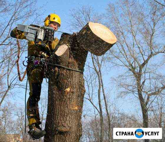 Опиловка аварийных деревьев Девица