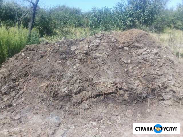 Продаю навоз Углянец - изображение 1