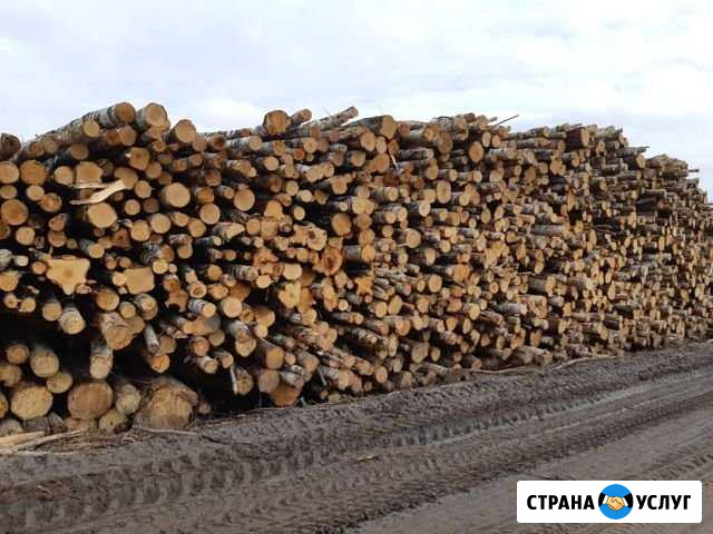 Дрова Бронницы - изображение 1