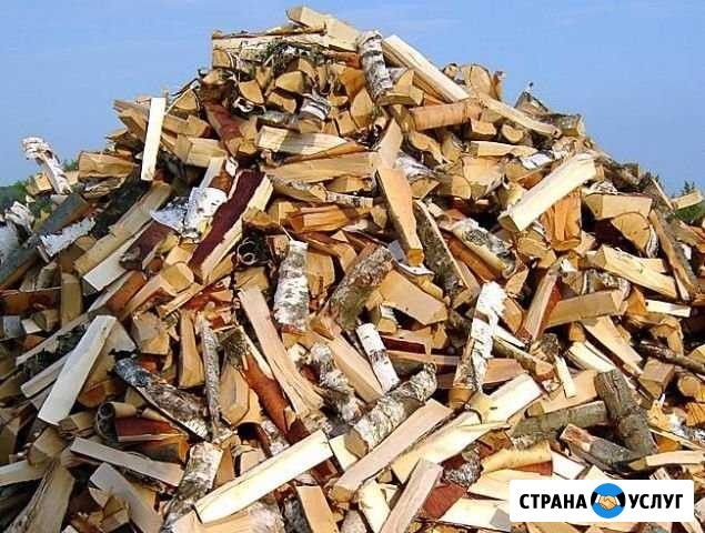 Дрова береза Краснознаменск - изображение 1