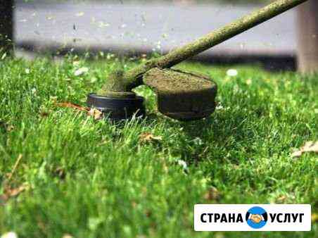 Покос травы, спил, кронирование, корчевание пней Иваново