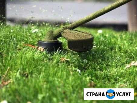 Покос травы, спил, кронирование, корчевание пней Иваново - изображение 1