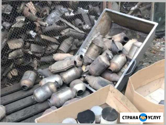 Скупка катализаторов, сдать катализатор Дзержинск - изображение 1