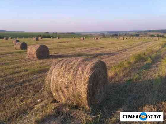 Сено Зайково