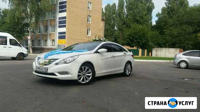 Прокат автомобиля свадьбы торжества Курск - изображение 1