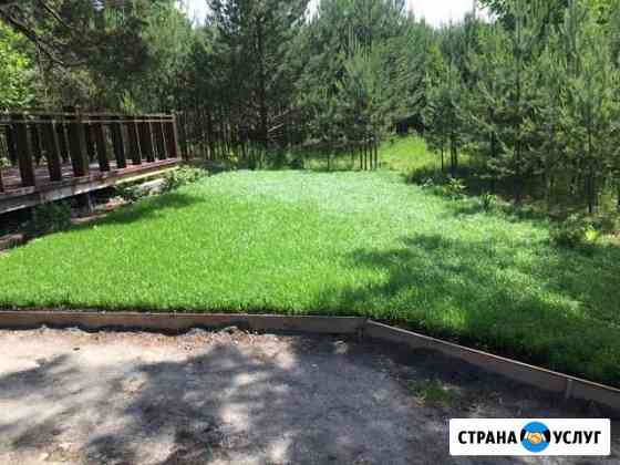 Посев газона Тюмень