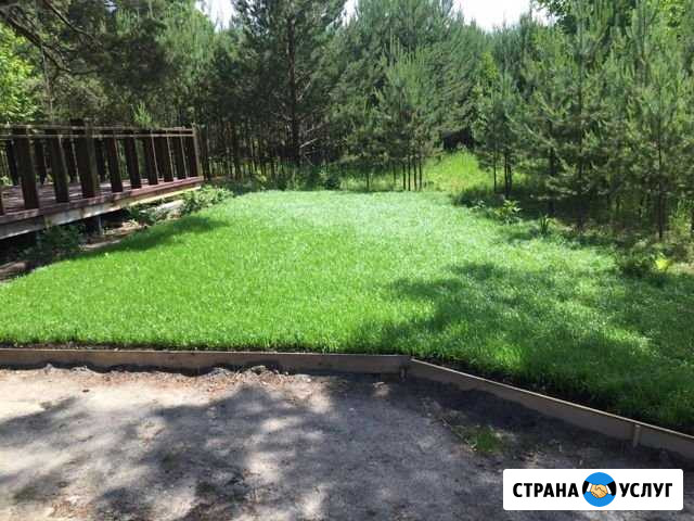 Посев газона Тюмень - изображение 1