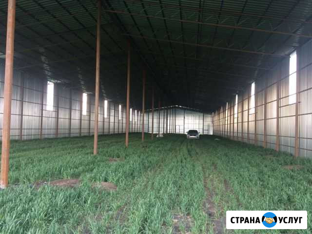 Строительство ангаров Константиновск - изображение 1
