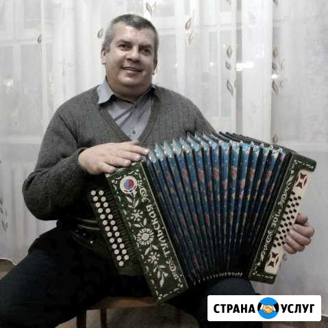 Услуги профессионального баяниста Суворов - изображение 1