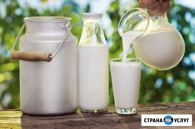 Молоко, сметана, сыр Пятигорск - изображение 1