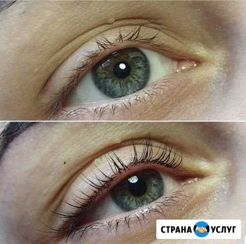 Обучение Ламинированию ресниц Ростов-на-Дону - изображение 1