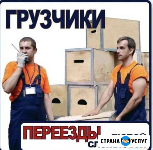 Грузчики час 250 Нижневартовск - изображение 1