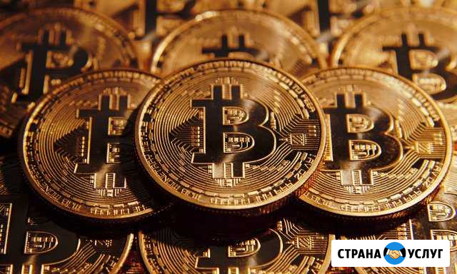 Mining hotel Ярославль - изображение 1