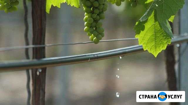 Капельный полив Акуша - изображение 1
