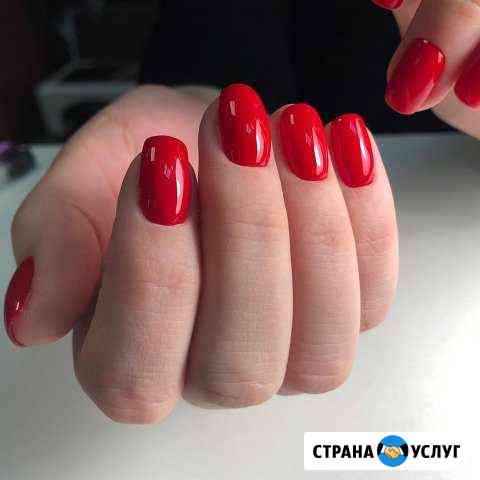 Shellac Сертолово