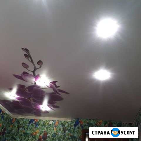 Натяжные потолки Курган - изображение 1