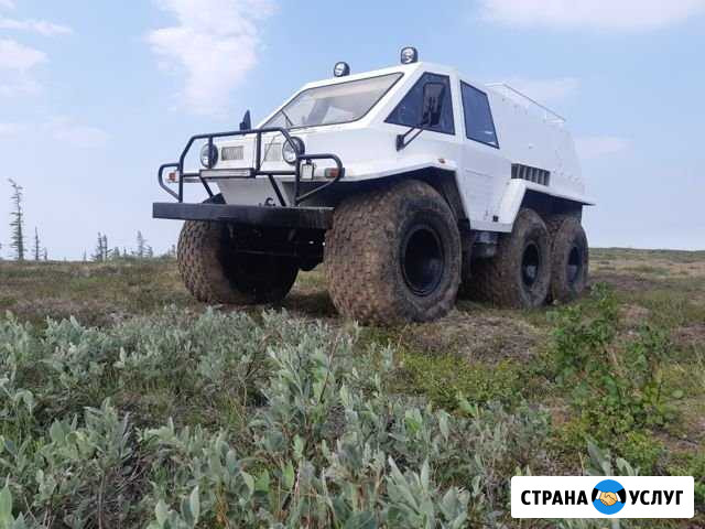 Аренда трэкола с водителем Норильск - изображение 1
