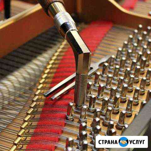 Настройка пианино и роялей Воронеж