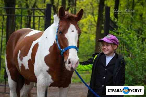 Обучение верховой езде,прогулки,экскурсия по кон Электрогорск