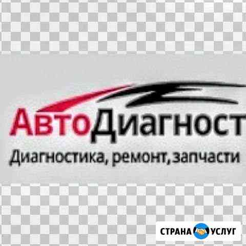 Автодиагностика Троицкая