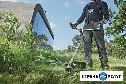 Покос травы Кирсанов - изображение 1