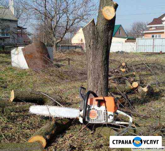 Покос травы, спил,корчевание деревьев Волгоград
