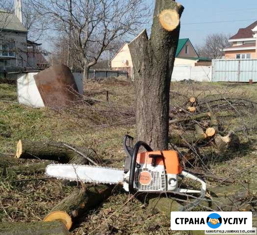 Покос травы, спил,корчевание деревьев Волгоград - изображение 1