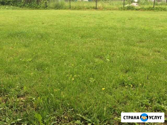 Покос травы, бурьяна. Расчистка участка Дмитров - изображение 1