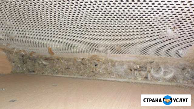Сухая чистка подушек перин одеял Елань - изображение 1