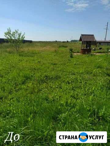 Покос травы Дмитров - изображение 1