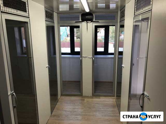 Гостиница для животных Ханты-Мансийск - изображение 1