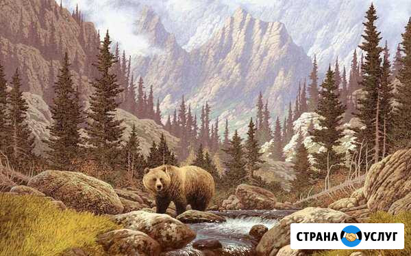 Раскрашу Вашу Картину По Номерам Обнинск - изображение 1