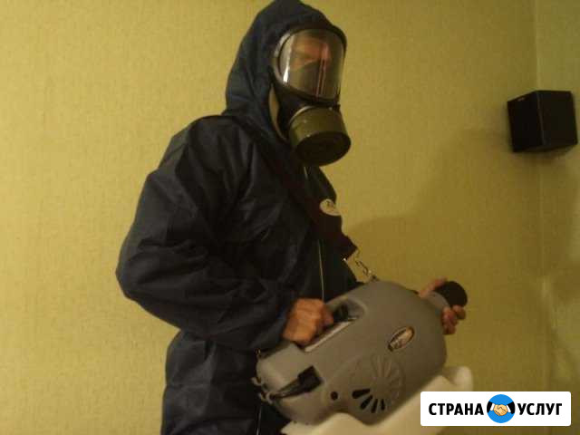 Клопы тараканы муравьи блохи мокрицы и мыши Уфа - изображение 1