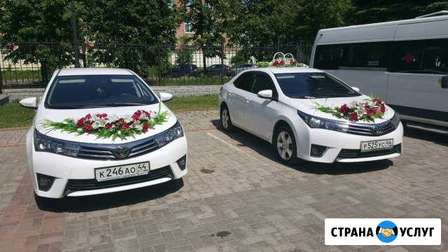 Организация свадебных кортежей Кострома - изображение 1