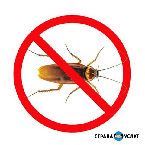 Обработка от тараканов клопов и комаров Самара - изображение 1