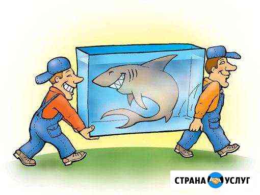Грузчики,грузоперевозки Нижневартовск