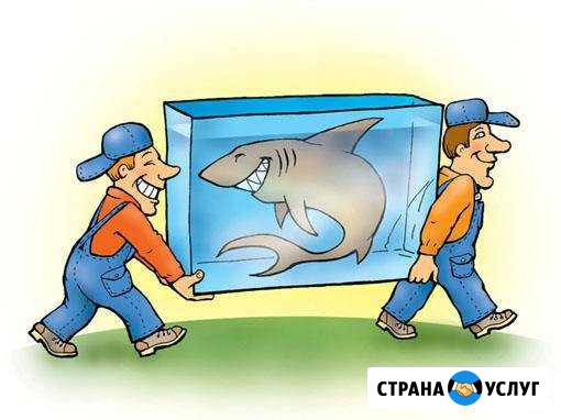 Грузчики,грузоперевозки Нижневартовск - изображение 1