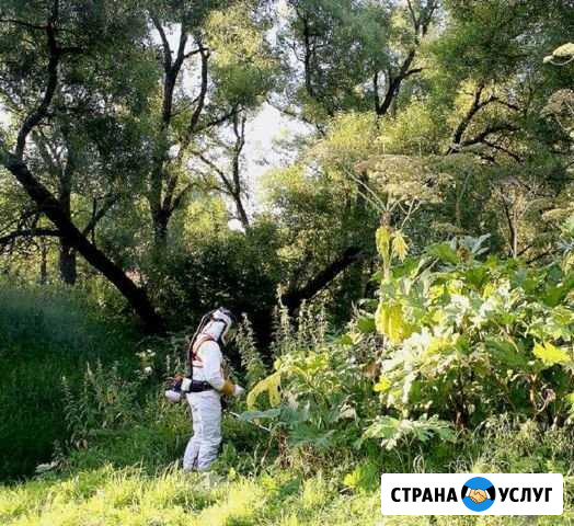 Обработка от комаров, муравьев, тараканов, клопов Казань - изображение 1
