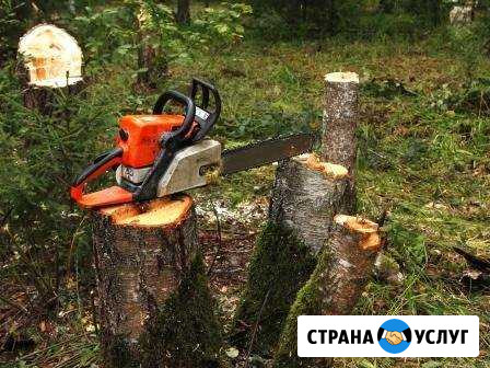 Спил.Вырубка.Снос Деревья.Уборка Участка Грозный - изображение 1