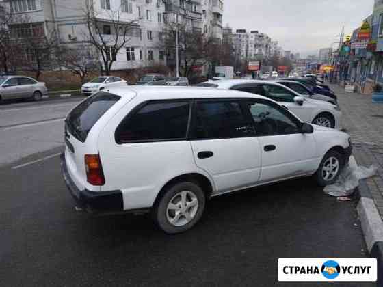 Доставка курьер грузоперевозки Новороссийск