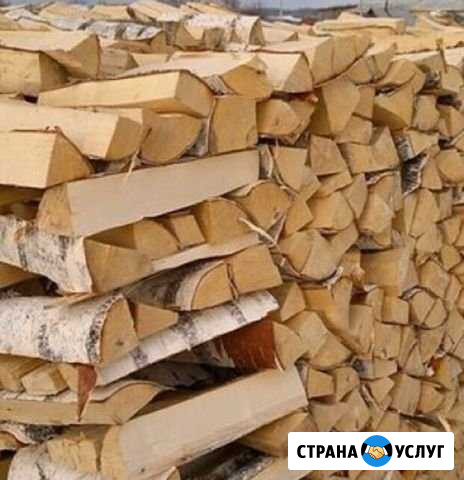 Дрова берёза, ольха, осина Волосово - изображение 1