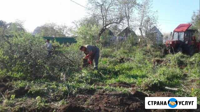 Расчистка участков, вывоз мусора, распил деревьев Сочи - изображение 1