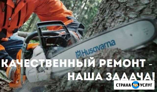 Ремонт садовой и строительной техники Обнинск - изображение 1