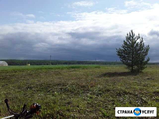Покос травы Городище - изображение 1