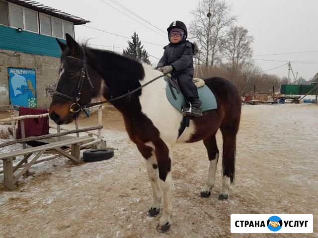 Обучение верховой езде Хабаровск - изображение 1
