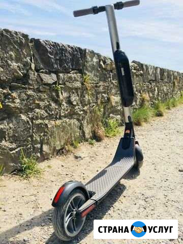 Ремонт электросамокатов Ninebot ES Ростов-на-Дону - изображение 1