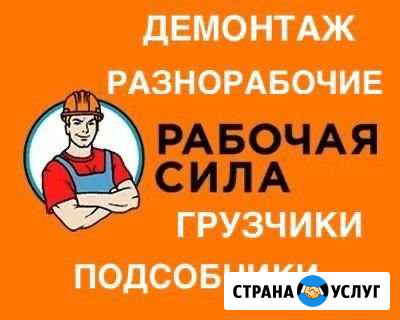 Разнорабочие, грузчики Реутов - изображение 1